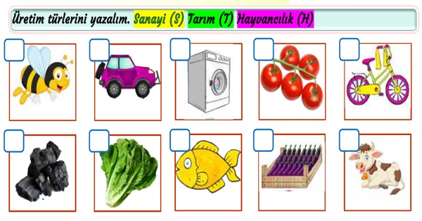 2. Sınıf Hayat Bilgisi Çevremizdeki Üretim Faaliyetleri Etkinliği