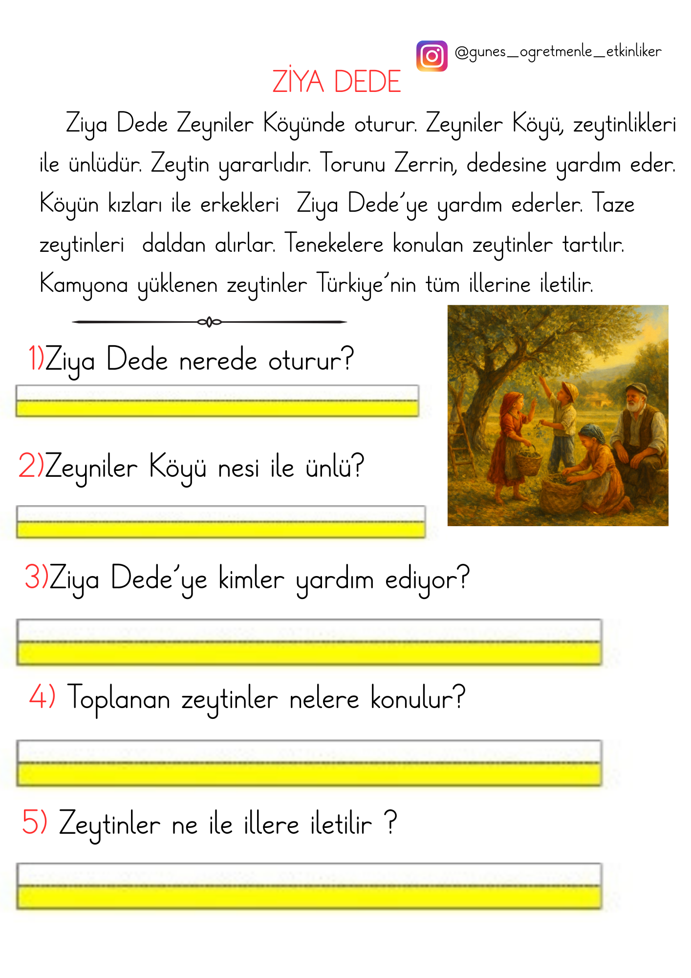 1. Sınıf İlk Okuma Yazma Z Sesi Okuma Anlama Etkinlikleri