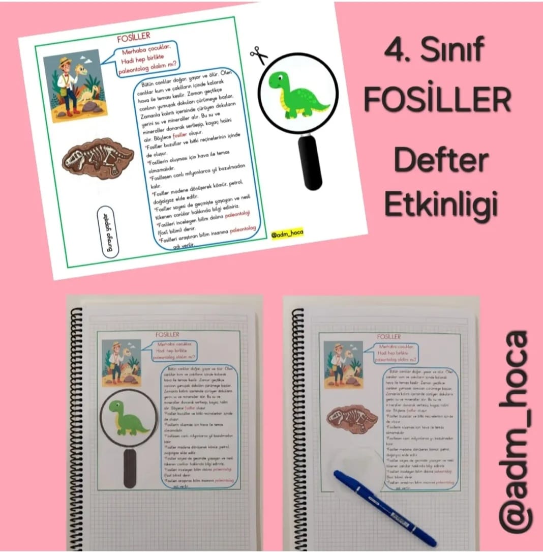 4. Sınıf - Fen Bilimleri - Fosiller İnteraktif Defter Etkinliği