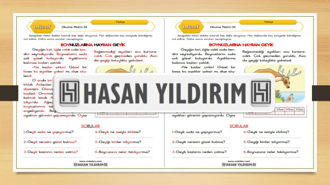 1. Sınıf Türkçe Okuma Metni-34 (Boynuzlarına Hayran Geyik)