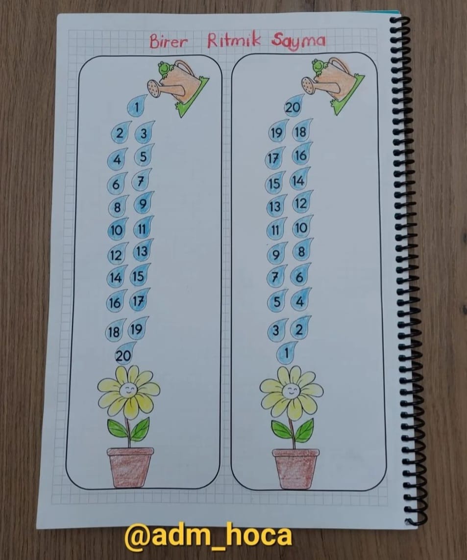 1. Sınıf Matematik İleriye ve Geriye Doğru Birer Rİtmik Sayma Etkinliği