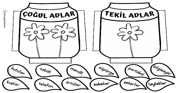 2. Sınıf Türkçe Tekil ve Çoğul Adlar Defter Çalışması-1