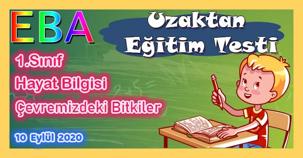 1. Sınıf Hayat Bilgisi Çevremizdeki Bitkiler Uzaktan Eğitim Testi pdf