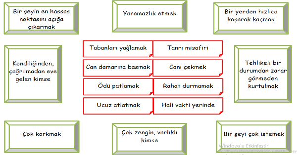 4. Sınıf Türkçe Deyimler-1