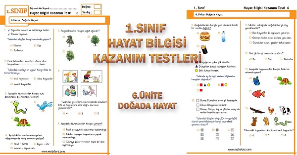 1. Sınıf Hayat Bilgisi Kazanım Testi - 6.Ünite - Doğada Hayat
