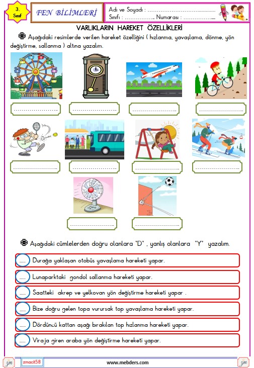 3. Sınıf Fen Bilimler Varlıkların Hareket Özellikleri   Etkinliği
