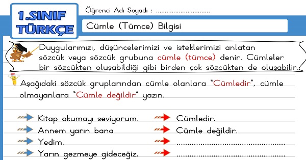 1. Sınıf Türkçe Cümle (Tümce) Bilgisi Etkinliği