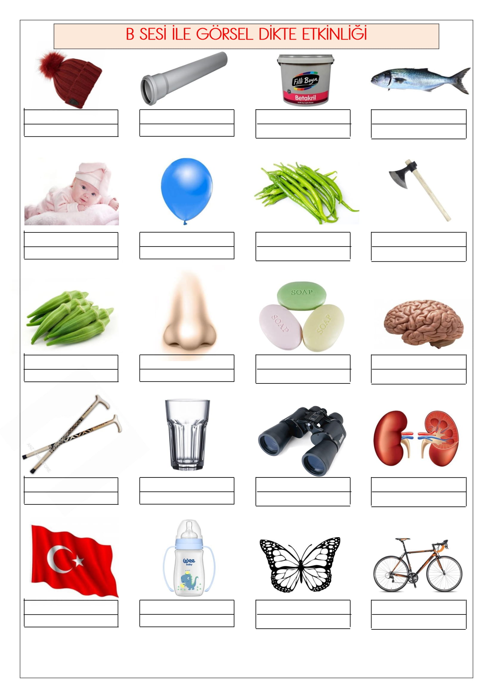 1. Sınıf İlk Okuma Yazma B Sesi Görsel Dikte Etkinliği