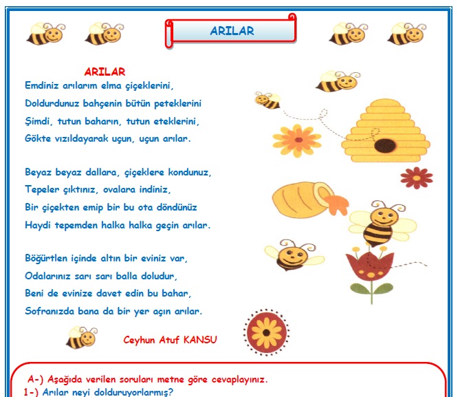 2. Sınıf Türkçe Arılar Okuma Anlama Metin Çalışması