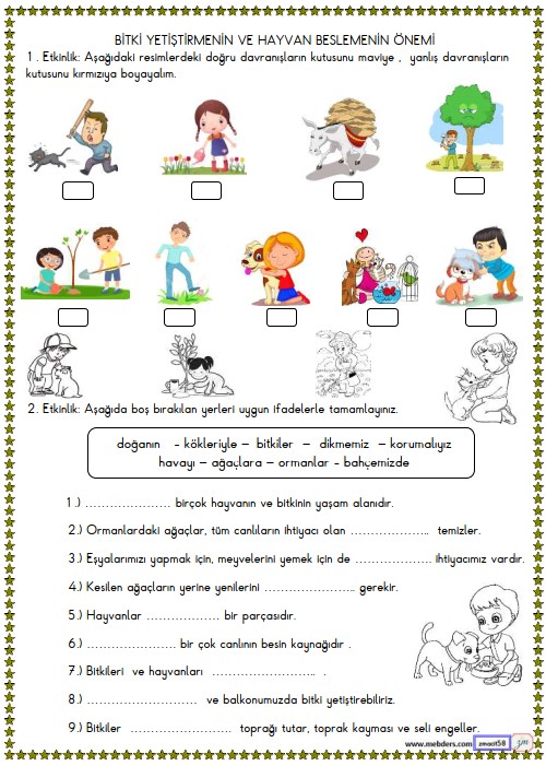 2. Sınıf Hayat Bilgisi Bitki Yetiştirmenin ve Hayvan Beslemenin Önemi Etkinliği 2