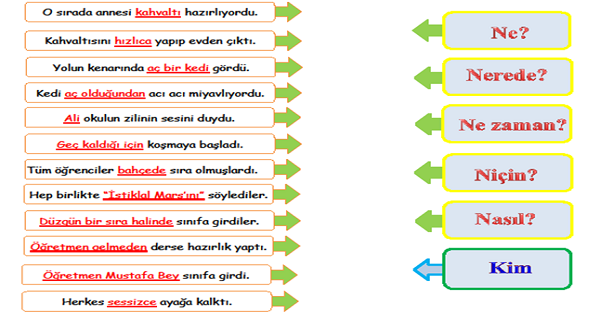 4. Sınıf Türkçe 5N-1K Etkinliği 1