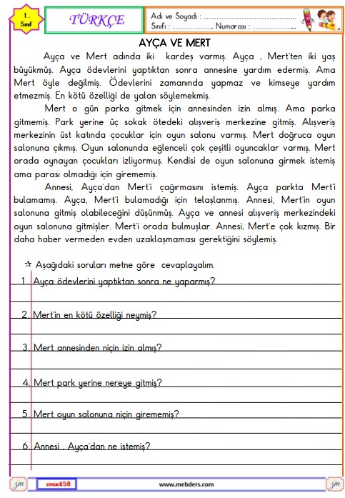 1. Sınıf Türkçe Okuma ve Anlama Metni Etkinliği 20 (Ayça ile Mert )