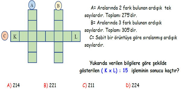 4. Sınıf Matematik Bölme İşlemi Yeni Nesil Sorular