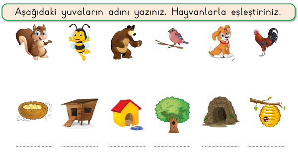 1. Sınıf Hayat Bilgisi Çevremizdeki Hayvanlar Etkinliği