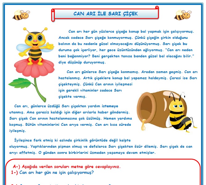 2. Sınıf Türkçe Can Arı ile Sarı Çiçek Okuma Anlama Metin Çalışması
