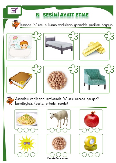 1. Sınıf İlkokuma N Sesi Ayırt Etme Etkinliği