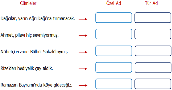4. Sınıf Türkçe Özel İsim, Cins İsim (Tür Ad) Etkinliği 2