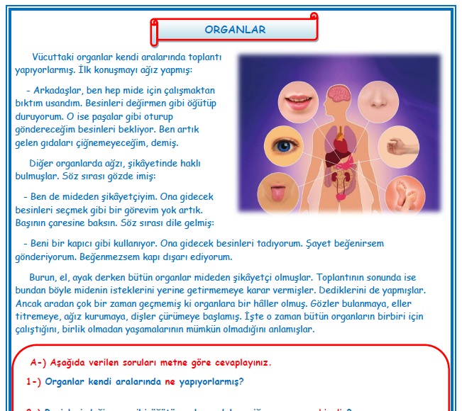 2. Sınıf Türkçe Organlar Okuma Anlama Metin Çalışması