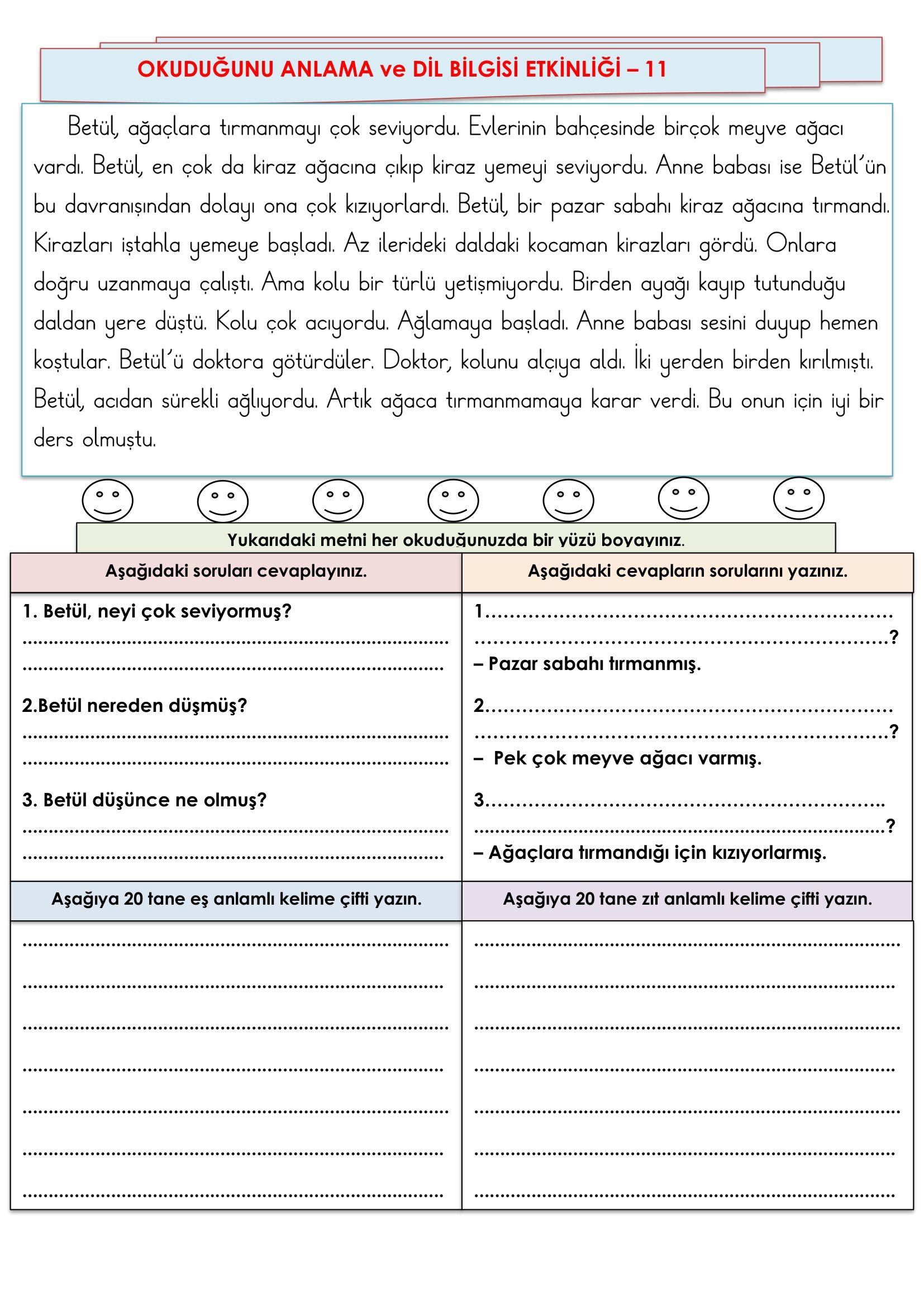 2. Sınıf - Türkçe Okuduğunu Anlama ve Dil Bilgisi Etkinliği-11