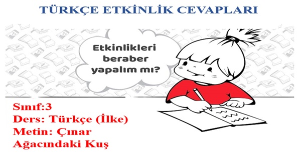 3. Sınıf Türkçe İlke Yayınları Çınar Ağacındaki Kuş Metni Etkinlik Cevapları