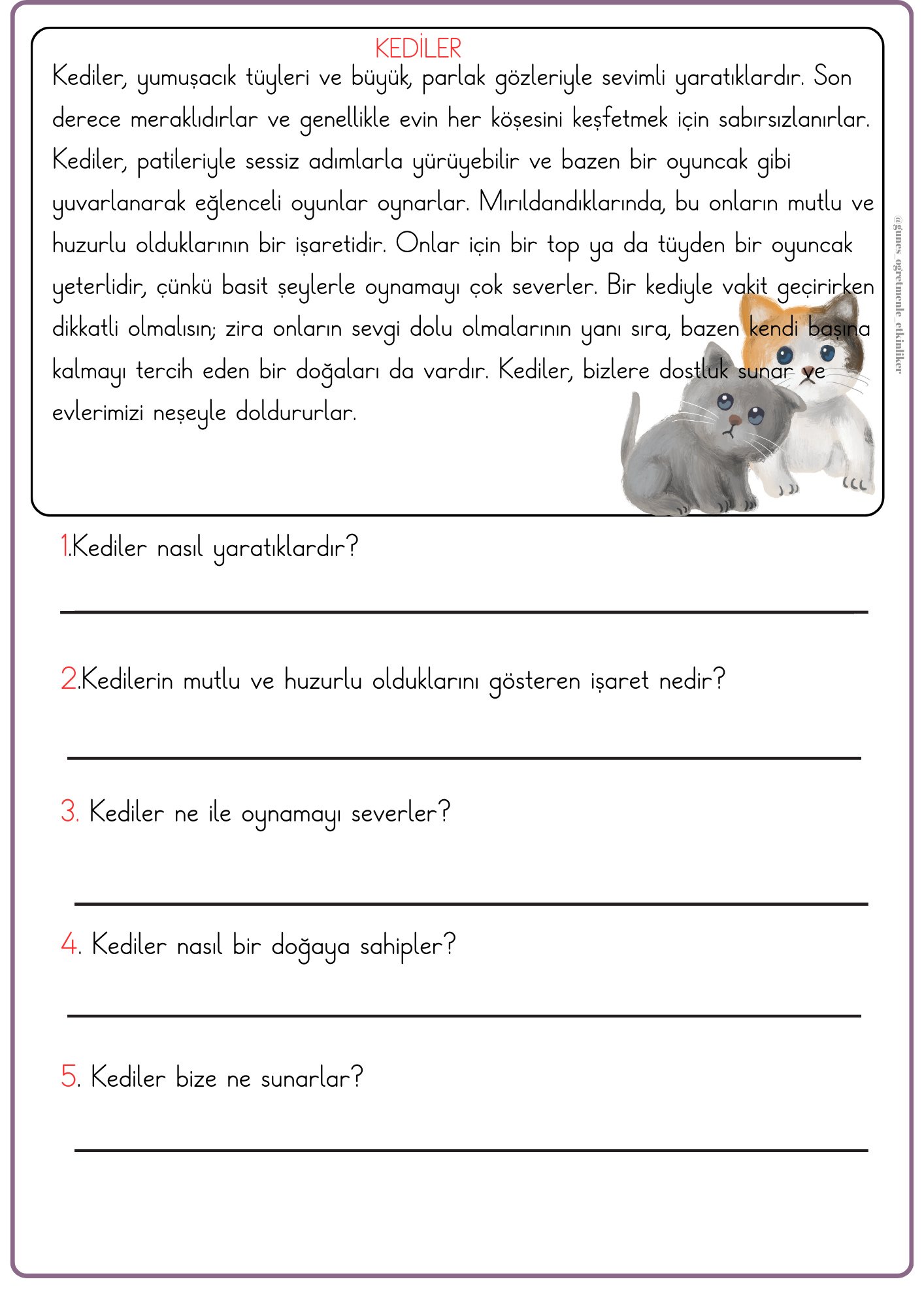 1. Sınıf Türkçe Okuma-Anlama Kediler Metni