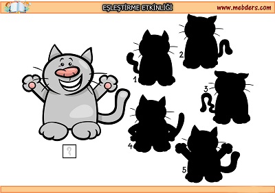 Kedi gölgesi eşleştirme etkinliği