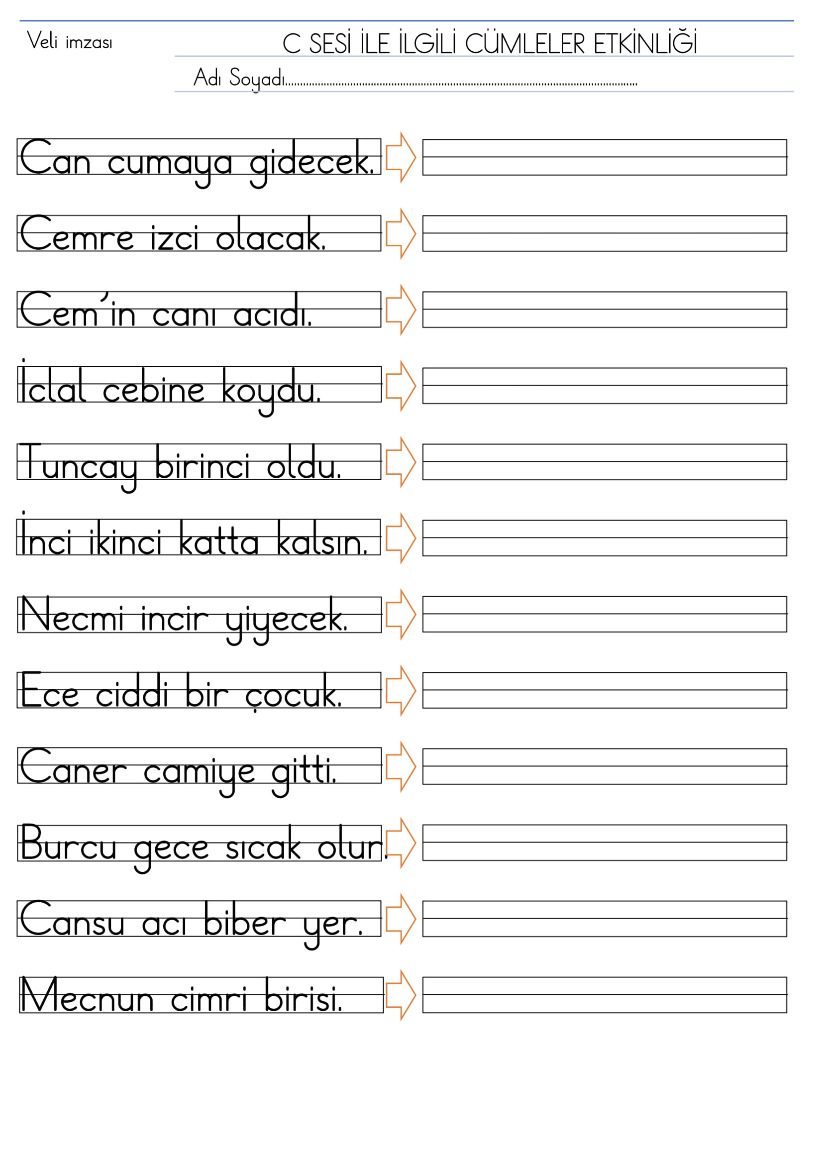 1. Sınıf İlk Okuma Yazma C Sesi Cümleler Etkinliği