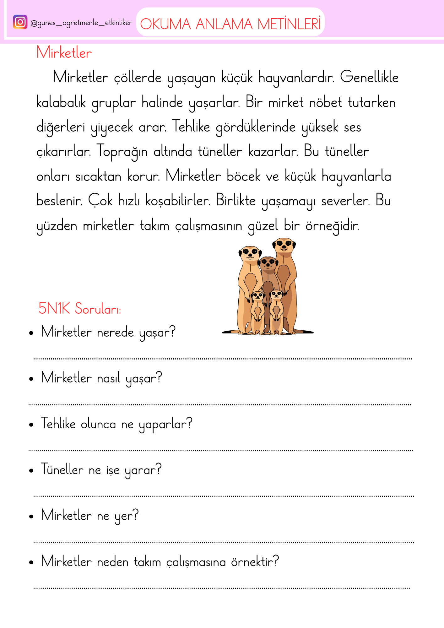1. Sınıf Türkçe Okuma Anlama Metinleri-3