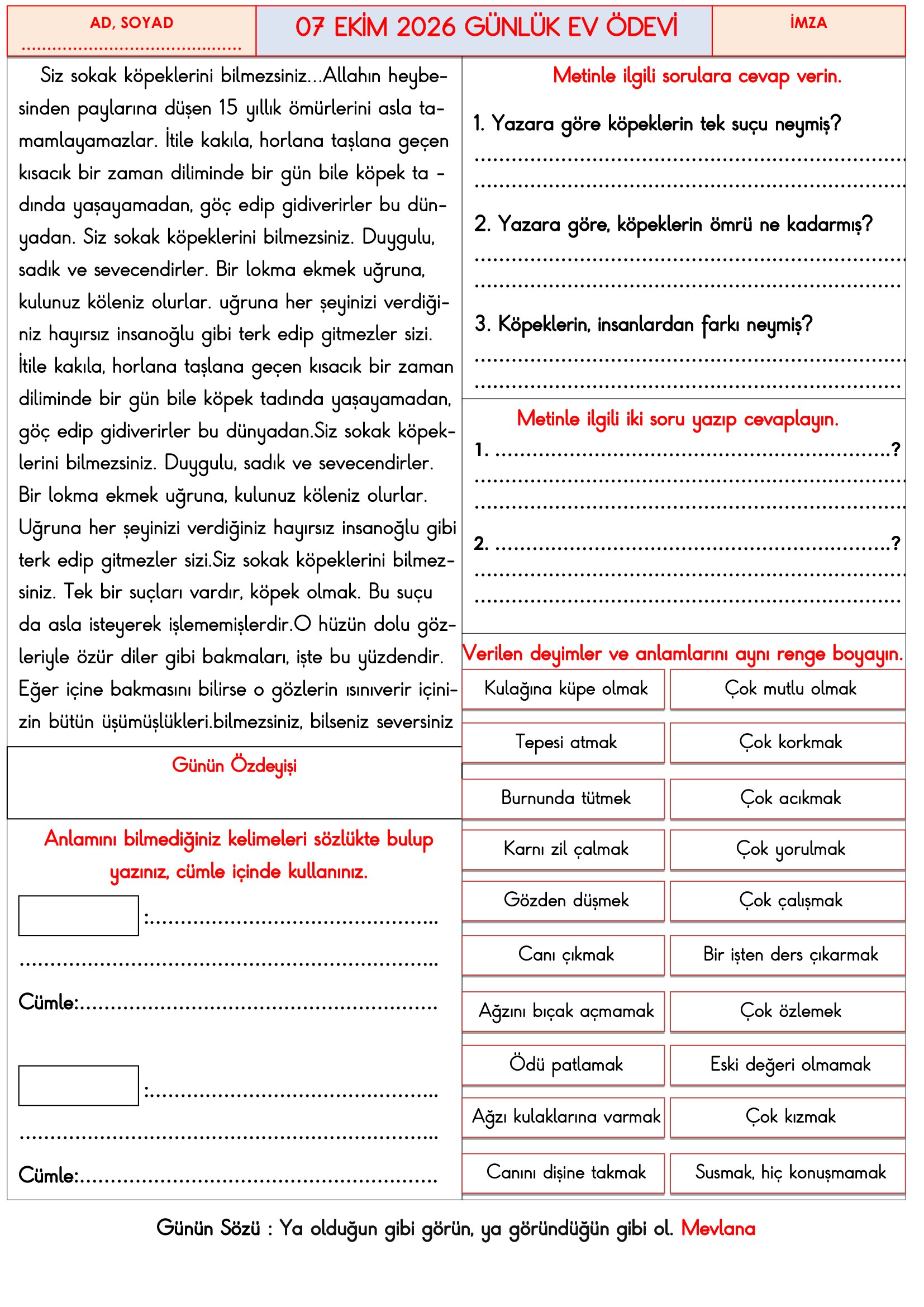 3.Sınıf - 07 Ekim 2026 Günlük Ev Ödevleri