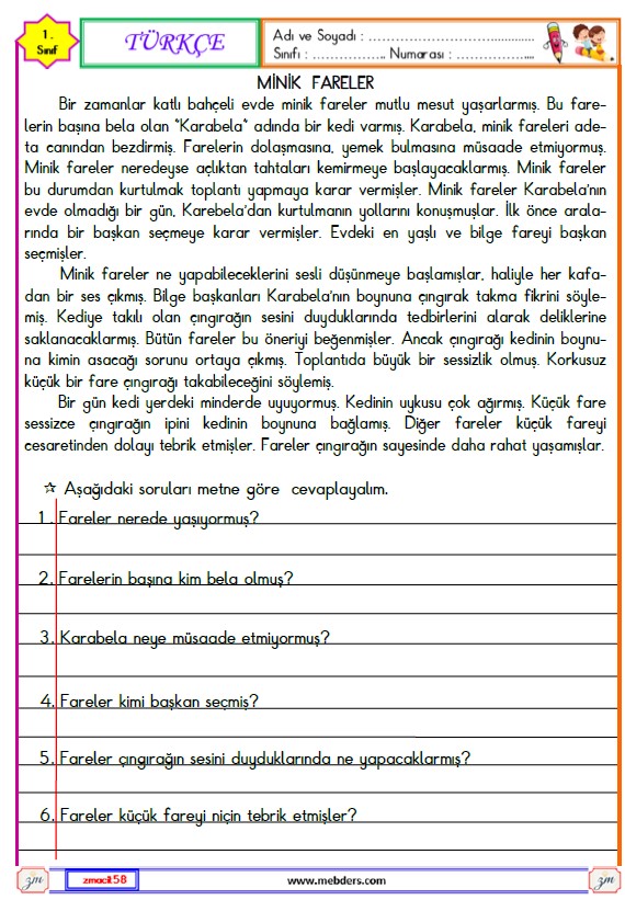 1. Sınıf Türkçe Okuma ve Anlama Metni Etkinliği (Minik Fareler) 3