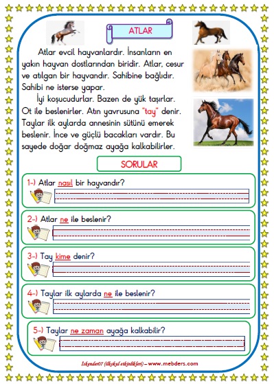 1. Sınıf Türkçe Atlar Okuma Anlama Metin Çalışması 2