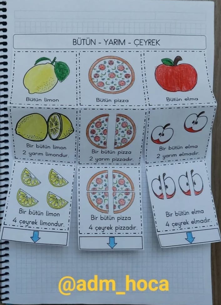 2. Sınıf Matematik Bütün, Yarım ve Çeyrek Defter Etkinliği
