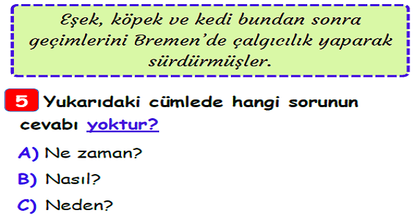3. Sınıf Türkçe 5N 1K Yaprak Test-2