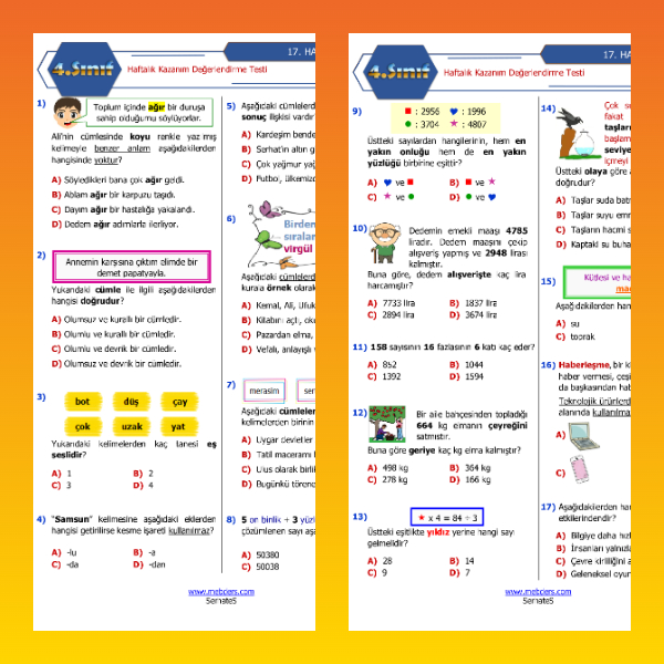 4. Sınıf Haftalık Değerlendirme Testi - 17. Hafta