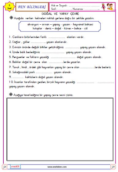 3. SınıfFenBilimleri Doğal ve Yapay Çevre Etkinliği 2