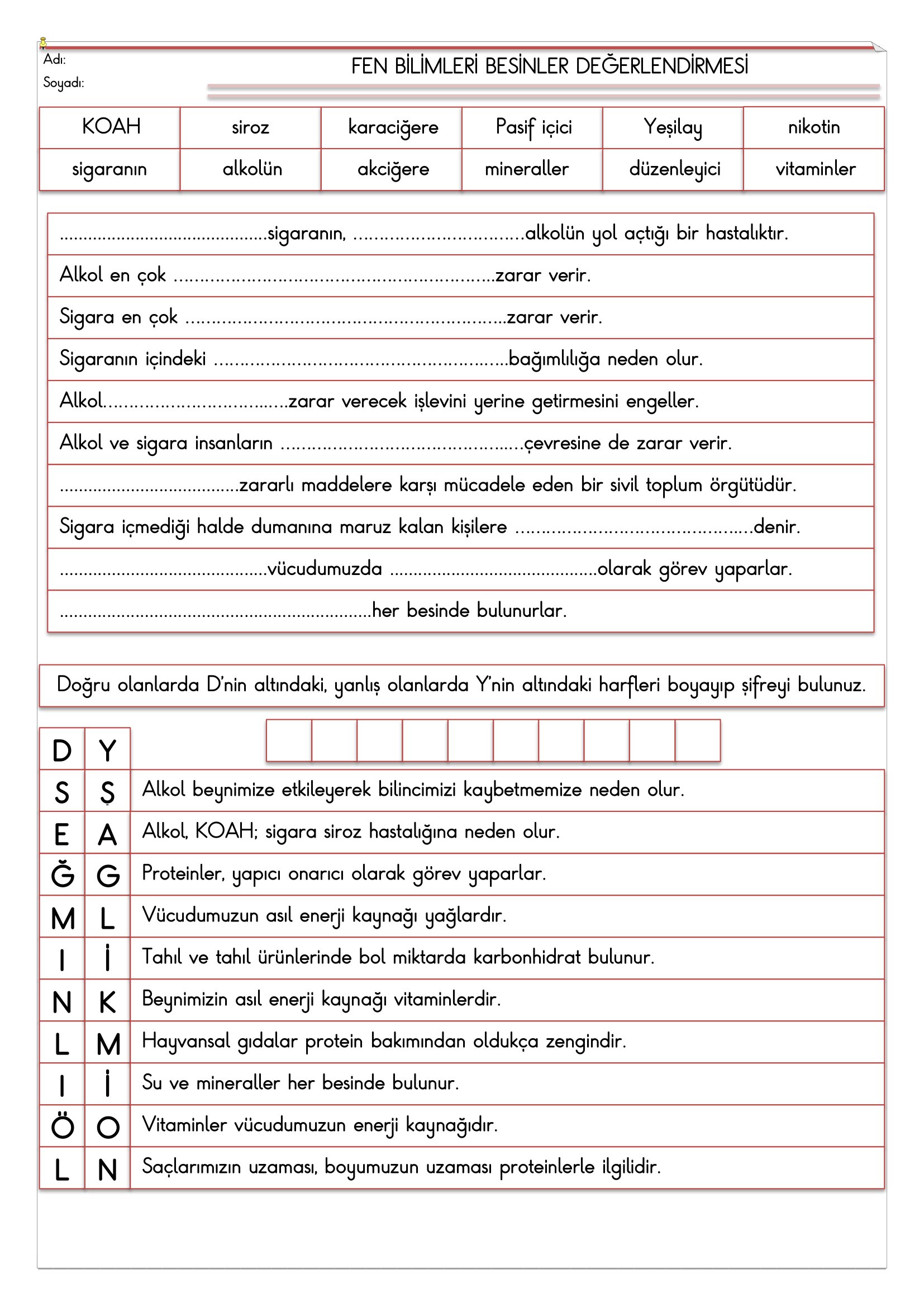 4. Sınıf - Fen Bilimleri Besinlerr Değerlendirmesi-2