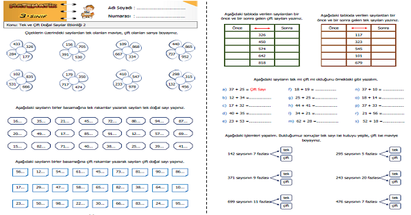 3. Sınıf Matematik Tek ve Çift Doğal Sayılar Etkinliği 2