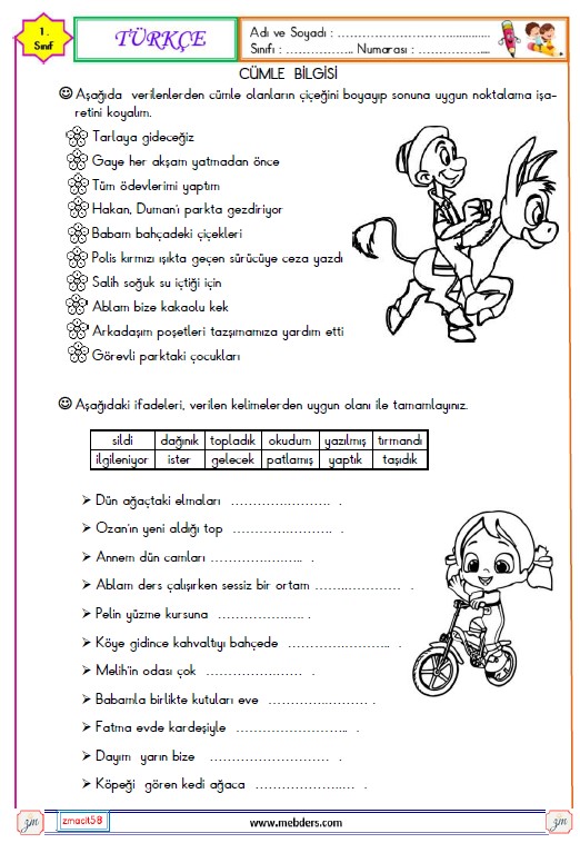 1. Sınıf Türkçe Cümle Bilgisi Etkinliği 5