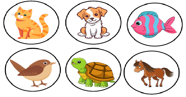 2. Sınıf 8.Ünite Pets Resimli Deftere Yapıştırma Kağıdı