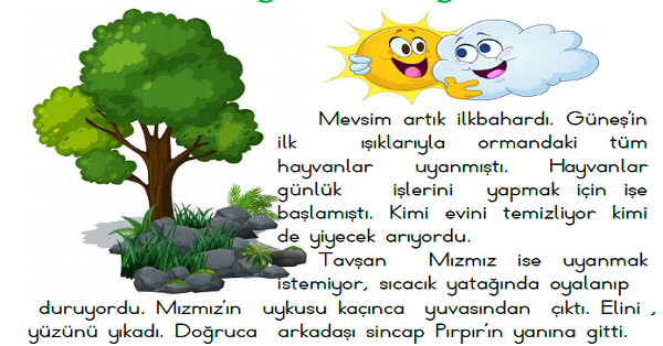 1. Sınıf Türkçe Okuyalım-Anlayalım-Yazalım-1