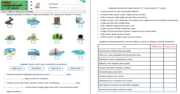 3. Sınıf Fen Bilimleri Doğal ve Yapay Çevre Etkinliği