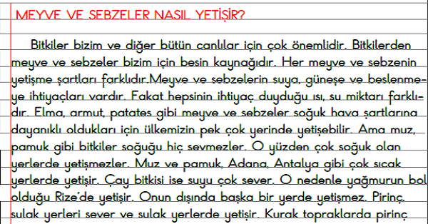 3. Sınıf - Hayat Bilgisi Meyve ve Sebzeler Nasıl Yetişir Defter Özeti