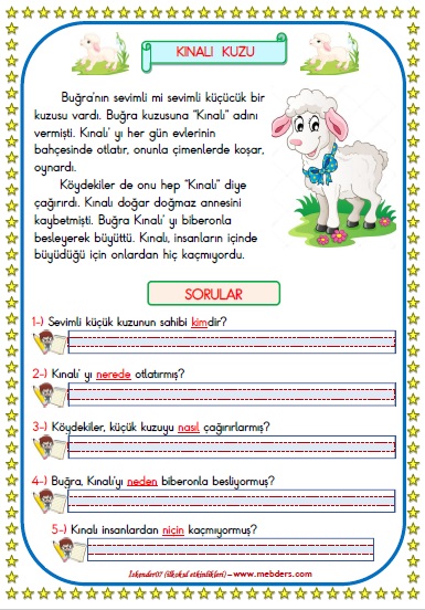 1. Sınıf Türkçe Kınalı Kuzu Okuma Anlama Metin Çalışması 19
