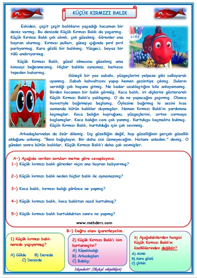 1. Sınıf Türkçe Küçük Kırmızı Balık Okuma Anlama Metin Çalışması 33