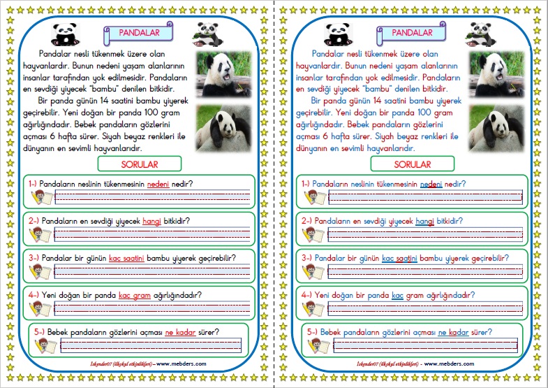1. Sınıf Türkçe Pandalar Okuma Anlama Metin Çalışması 3