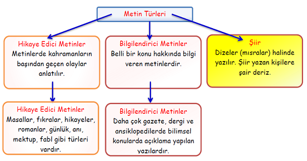 4. Sınıf Türkçe Metin Türleri-1