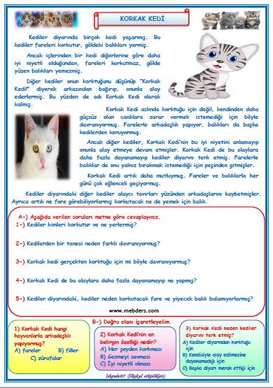 2. Sınıf Türkçe Korkak Kedi Okuma Anlama Metin Çalışması 27