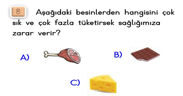 2. Sınıf Hayat Bilgisi Sağlıklı Hayat Ünitesi-Yaprak Test-2