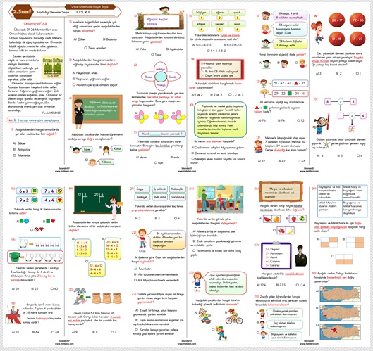 2. Sınıf Mart Ayı Deneme Sınavı (Türkçe-Matematik-Hayat Bilgisi 30 Soru)