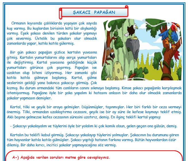 2. Sınıf Türkçe Şakacı Papağan Okuma Anlama Metin Çalışması